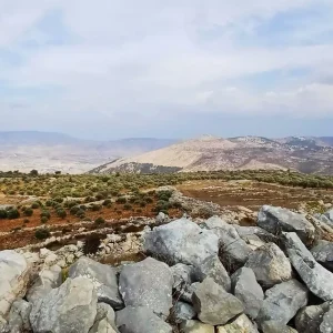 בדרכים - הר עיבל - טרסות מול מזבח יהושוע בן-נון