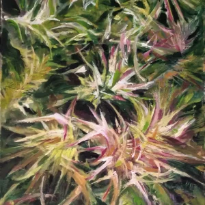 במדבר כל קוץ הוא פרח (3 מתוך 4)