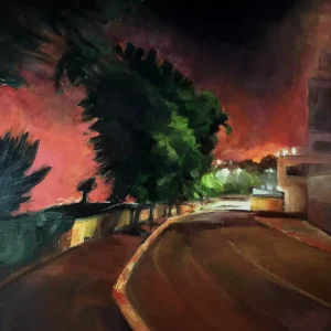 בדרכים-ליל זיקוקים באריאל