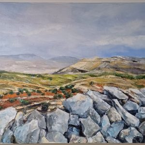 בדרכים - הר עיבל - טרסות מול מזבח יהושוע בן-נון